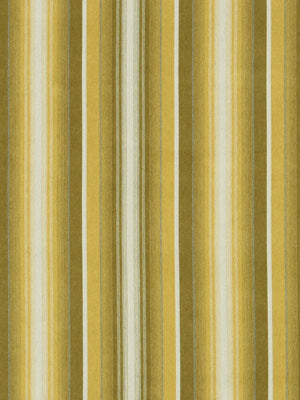 TROMSO STRIPE | ZEST