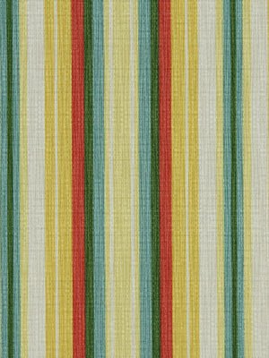 STRIPES GALORE | WATERMELON - Multi-purpose