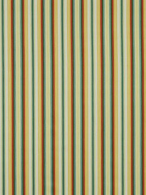 STRIPES GALORE | WATERMELON - Multi-purpose