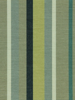 SEAVIEW STRIPE | KIWI