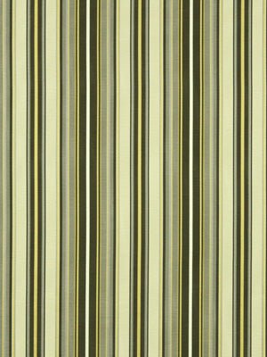 SUNNY | ZEST - Multi-purpose