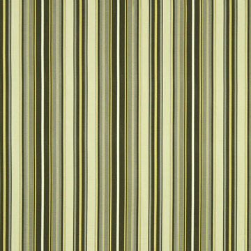 SUNNY | ZEST - Multi-purpose