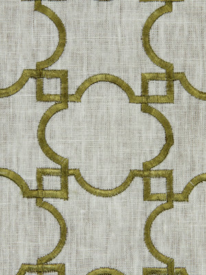 ACANTHUS | KIWI