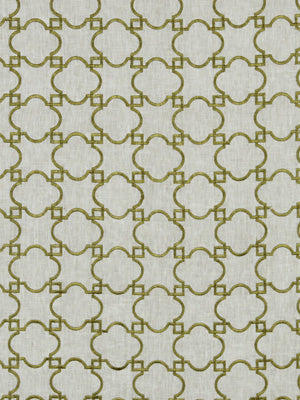 ACANTHUS | KIWI