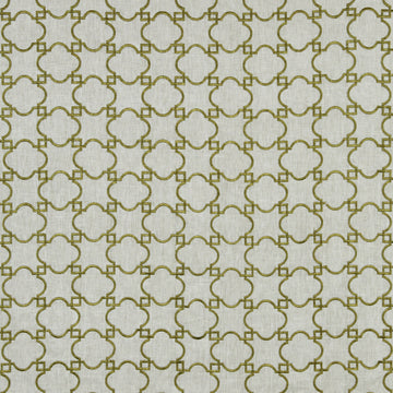 ACANTHUS | KIWI