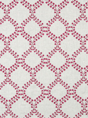 WINDING LEAVES | RASPBERRY