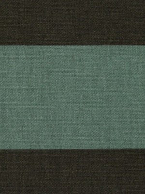 NEW STRIPE | ALOE - Multi-purpose