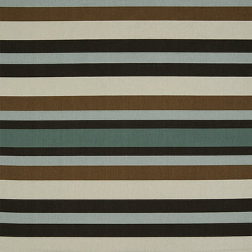 NEW STRIPE | ALOE - Multi-purpose