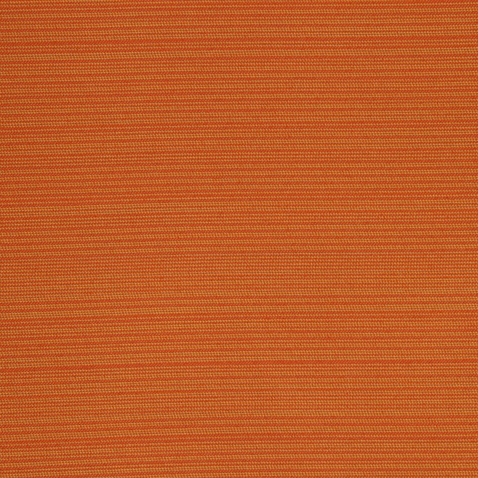 MARCO ISLAND | MANDARIN