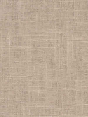 LINEN SLUB | LIMESTONE