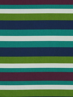 NEW STRIPE | BERRY BLAST - Multi-purpose