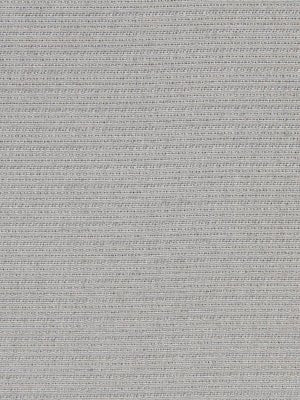 BRITE OUTLOOK | PEWTER - Drapery - Fabric