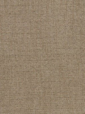BRITE OUTLOOK | BUFF - Drapery - Fabric