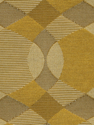 CIRCLE TEXTURE | AMBER