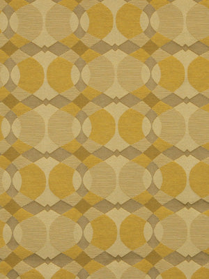 CIRCLE TEXTURE | AMBER