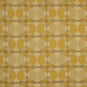 CIRCLE TEXTURE | AMBER