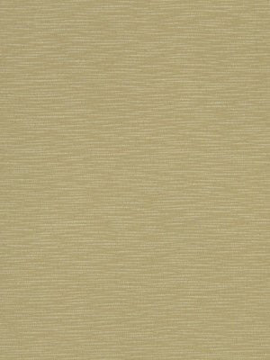 CALM WATERS | MELON - Drapery - Fabric