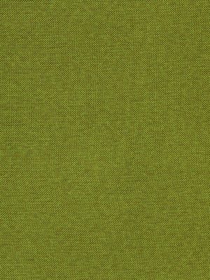 CALLISBURG | GRASS - Drapery - Fabric