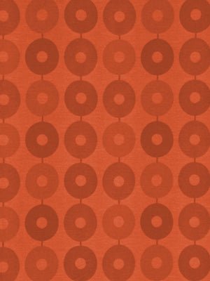 IN SHAPE | AUBURN - Multi-purpose
