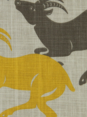 CARAVAN | CITRINE