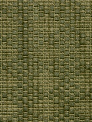 SOFT RUSH | PALM - Upholstery - Fabric