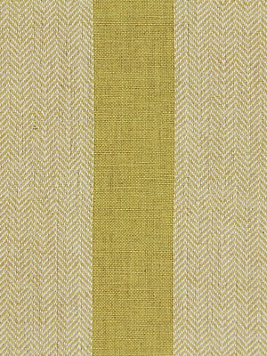 Masala Stripe | Chartreuse - Multi-purpose