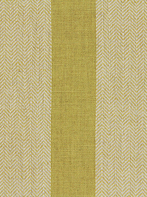 Masala Stripe | Chartreuse