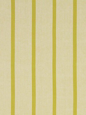 Masala Stripe | Chartreuse - Multi-purpose