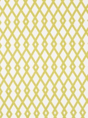 GRAPHIC FRET | CITRINE