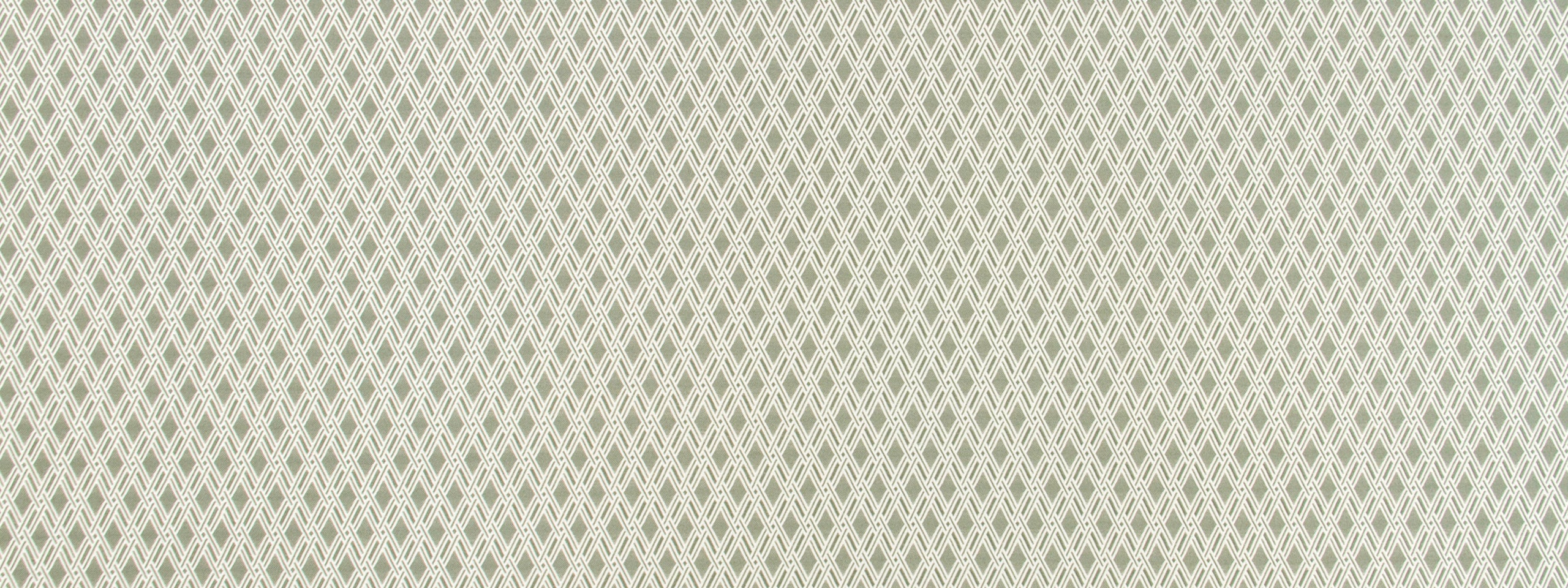BASKET FORM | ALOE