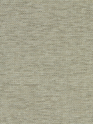 CANVAS SHEEN | LINEN