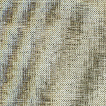 CANVAS SHEEN | LINEN