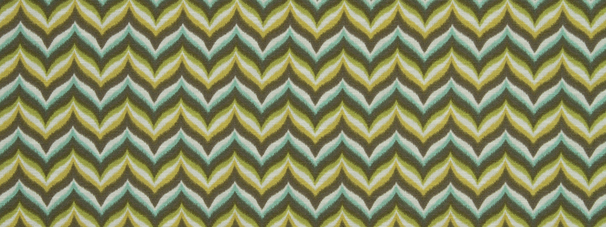 SPRING AHEAD | ALOE