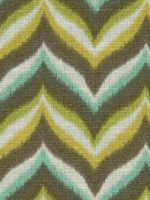 SPRING AHEAD | ALOE - Multi-purpose