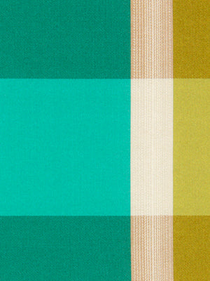 KAYS PICNIC | VIRIDIAN