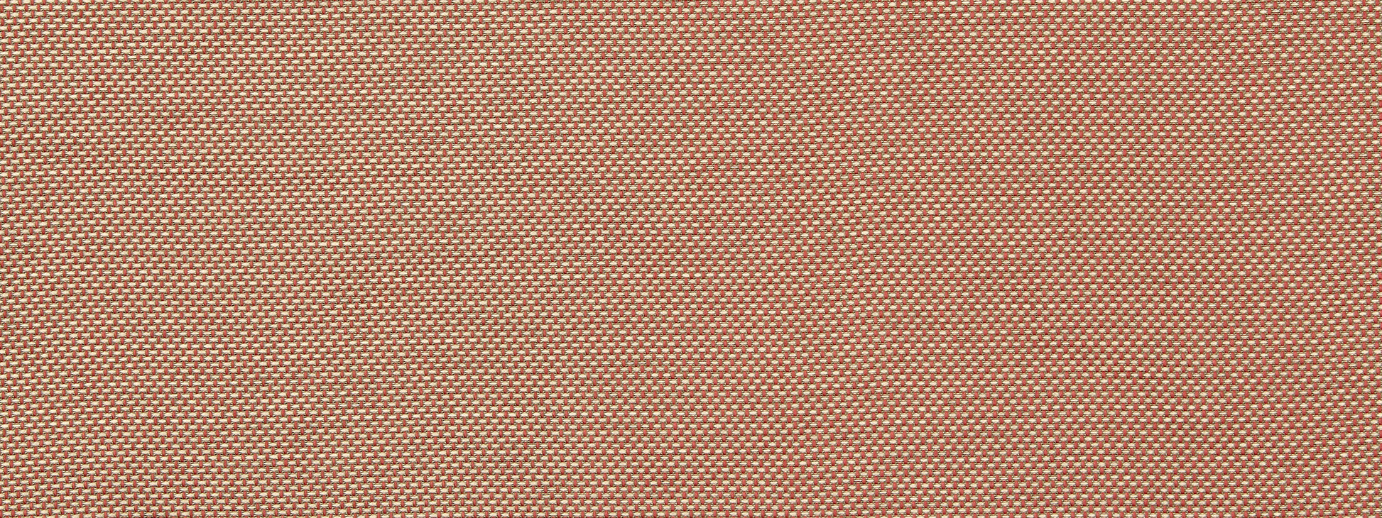 PALOMAR | CORAL