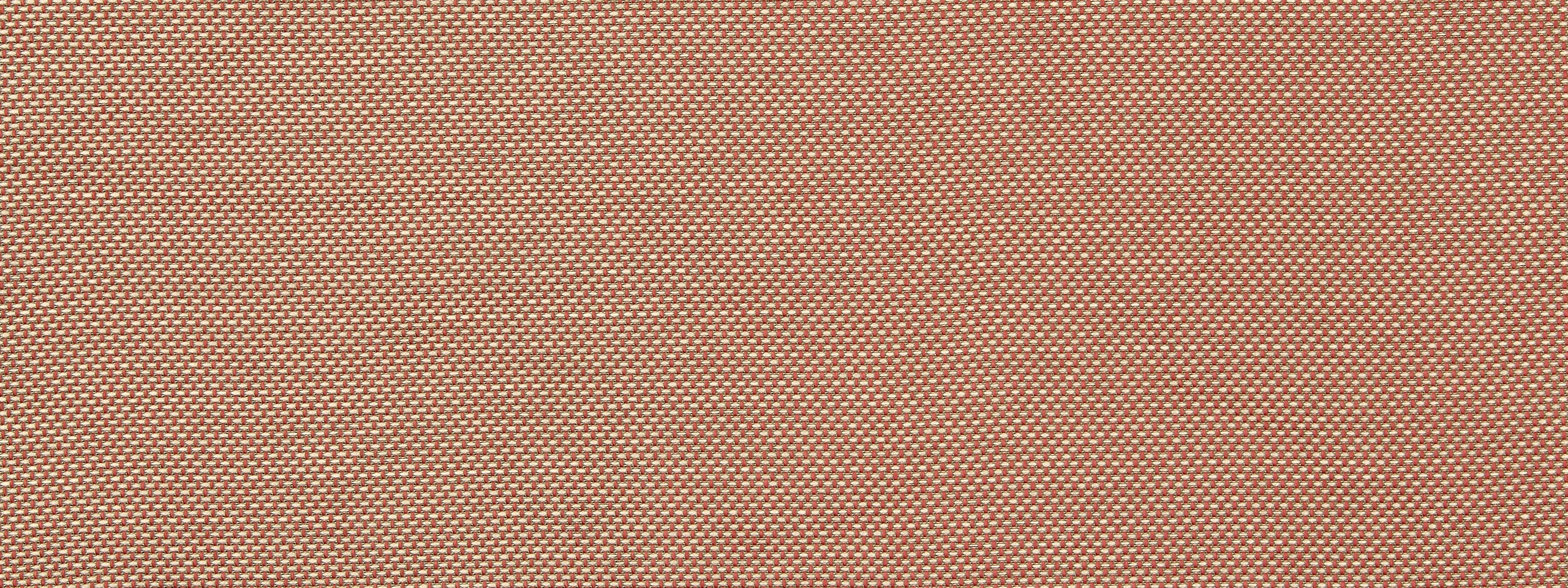 PALOMAR | CORAL