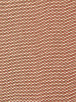 PALOMAR | CORAL