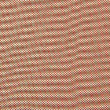 PALOMAR | CORAL