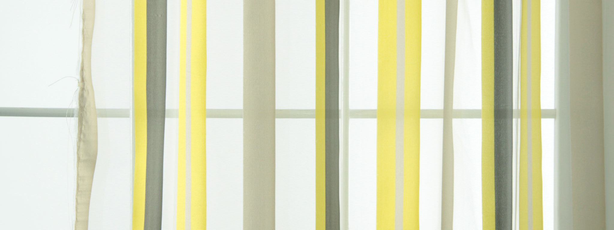 CLASSIC STRIPE | CITRON