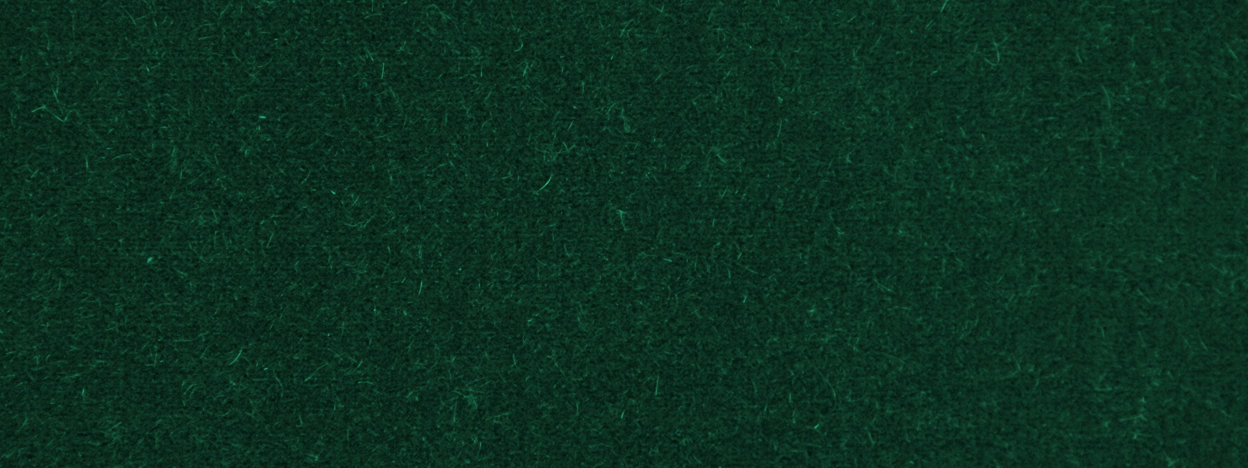 PLUSH MOHAIR | PINE