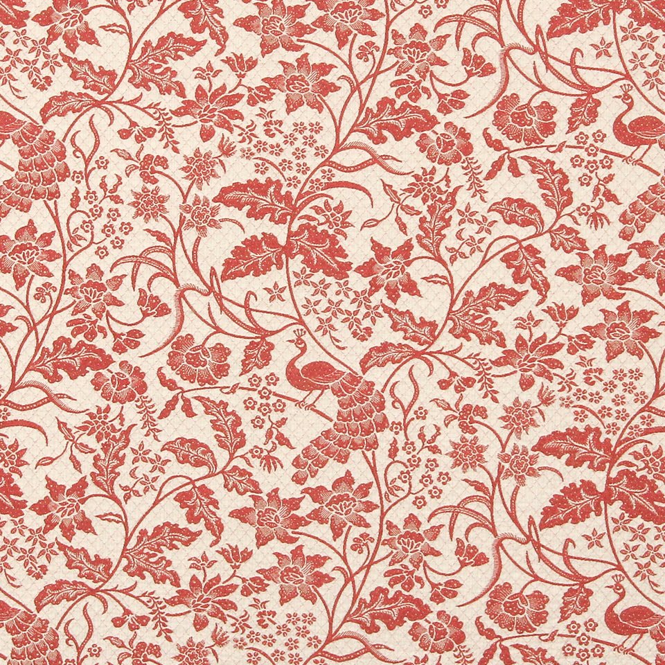JAVA BIRD | CORAL - Upholstery - Fabric