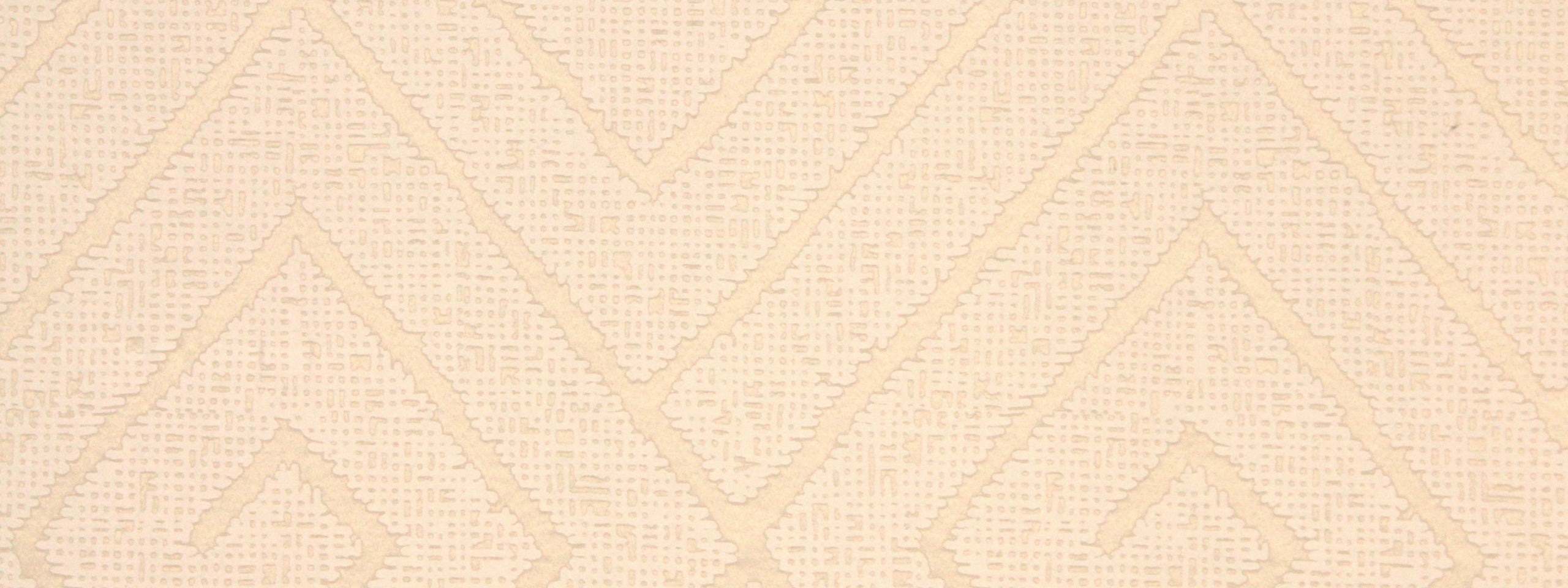 NEEDVILLE | SAND DOLLAR