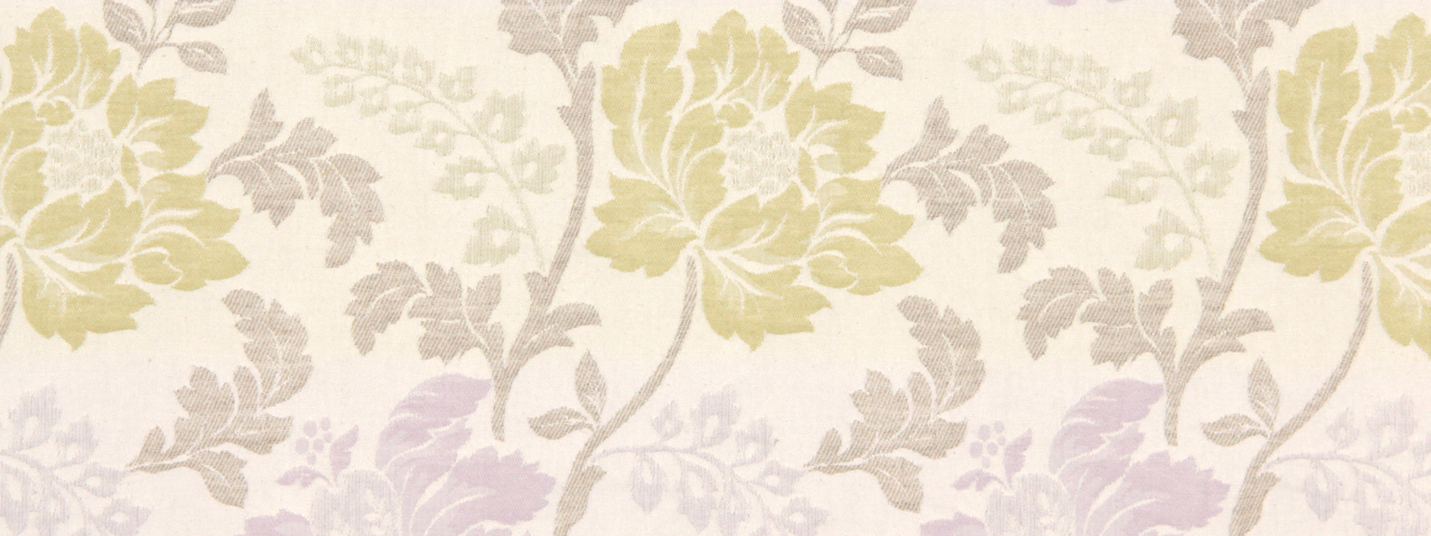 SOFT LEAVES | WISTERIA