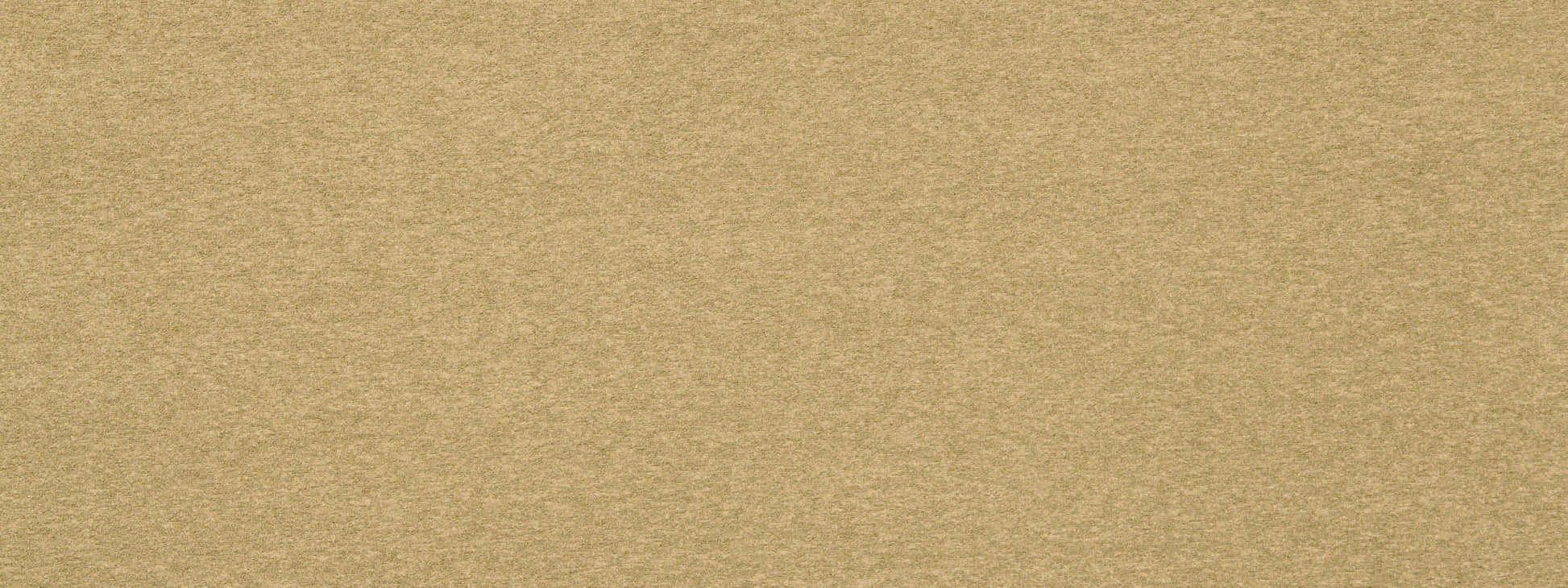 LOFT | CAMEL
