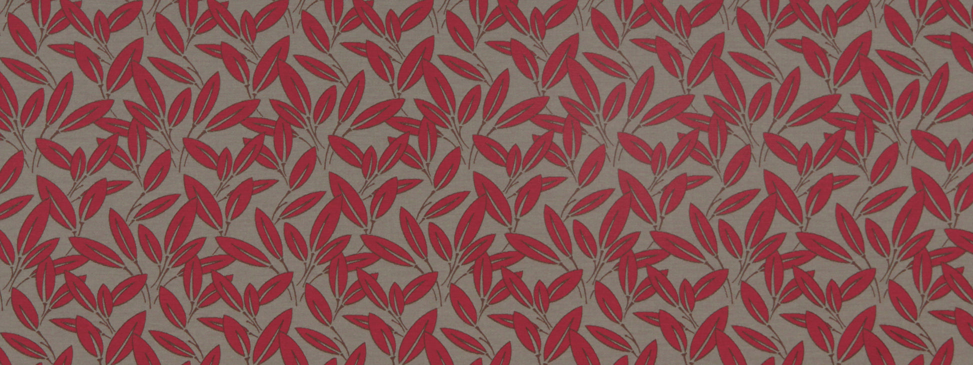 CABANA | TANGERINE
