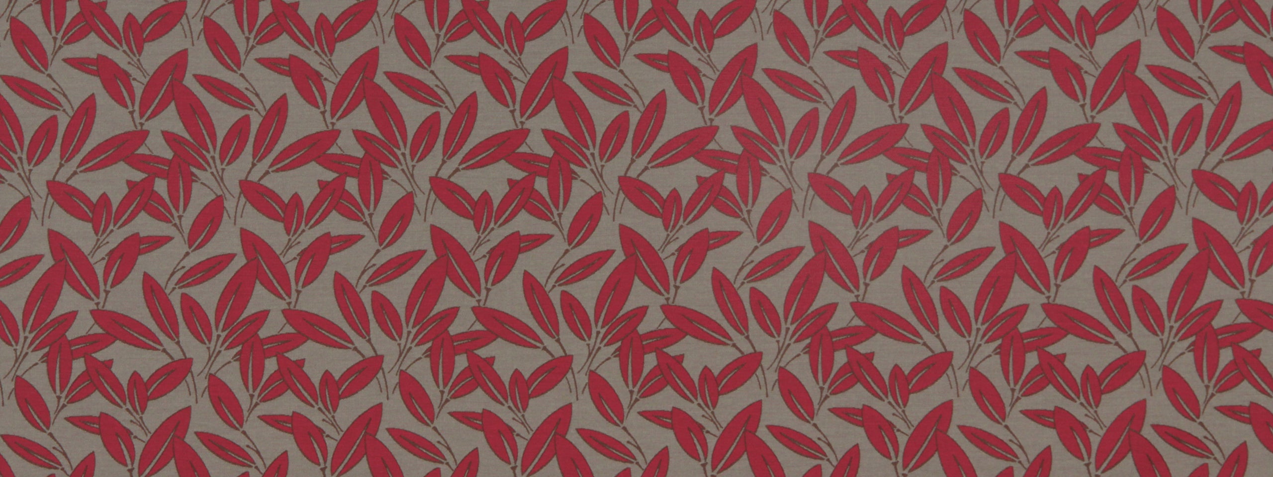 CABANA | TANGERINE
