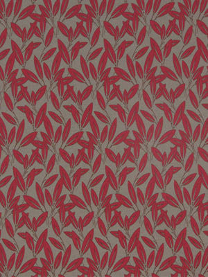 CABANA | TANGERINE