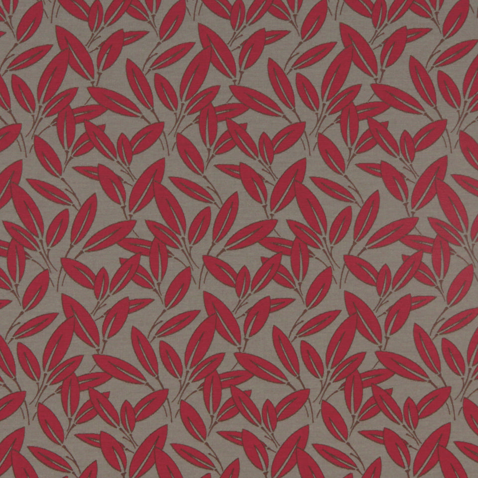 CABANA | TANGERINE
