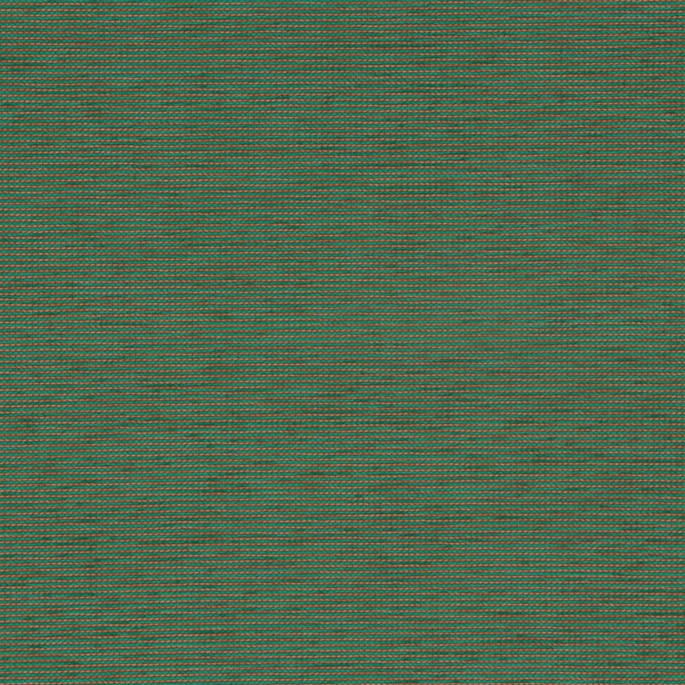 SOUTH COAST | CLOVER